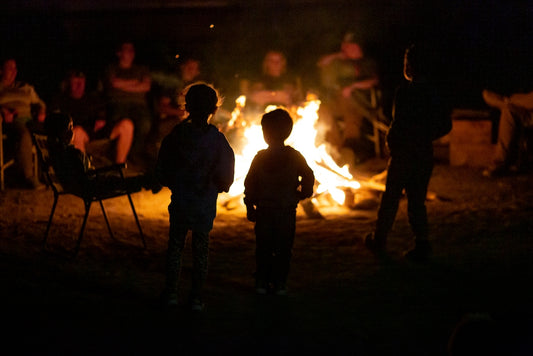 Cubs around a camp fire