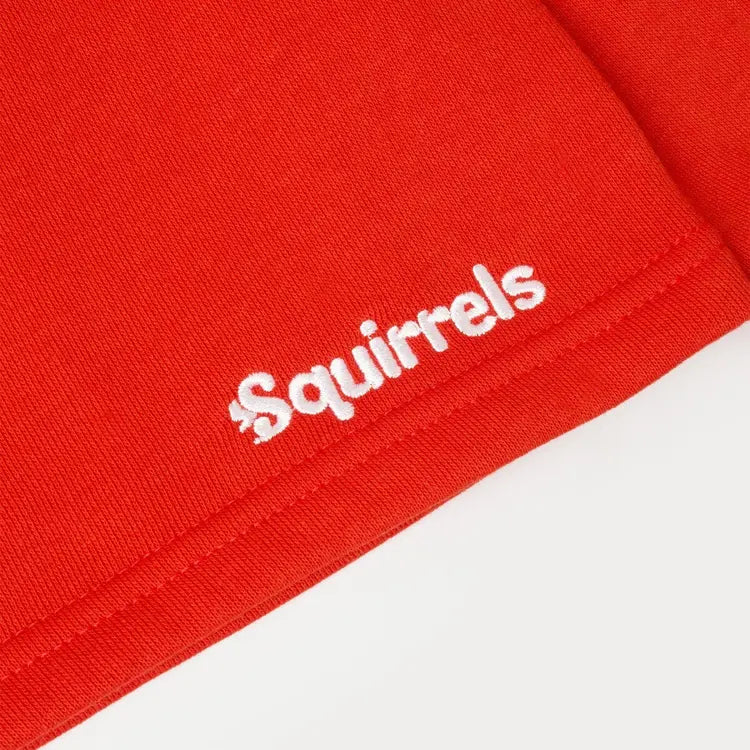 Squirrel scouts sweatshirts